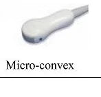 Veterinary Ultrasound Scanner | Portable High-Precision Animal Diagnostic Machine