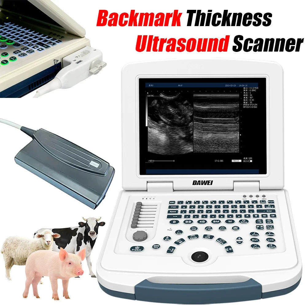 Veterinary Ultrasound Machine Portable Laptop Pregnancy Scanner Probes (B, BB, 4B, B+M, M) for Animal Hospital Home Farm