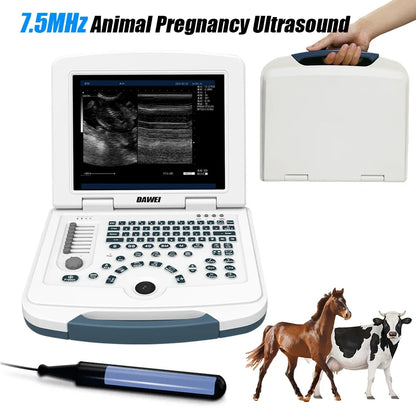 Veterinary Ultrasound Machine Portable Laptop Pregnancy Scanner Probes (B, BB, 4B, B+M, M) for Animal Hospital Home Farm
