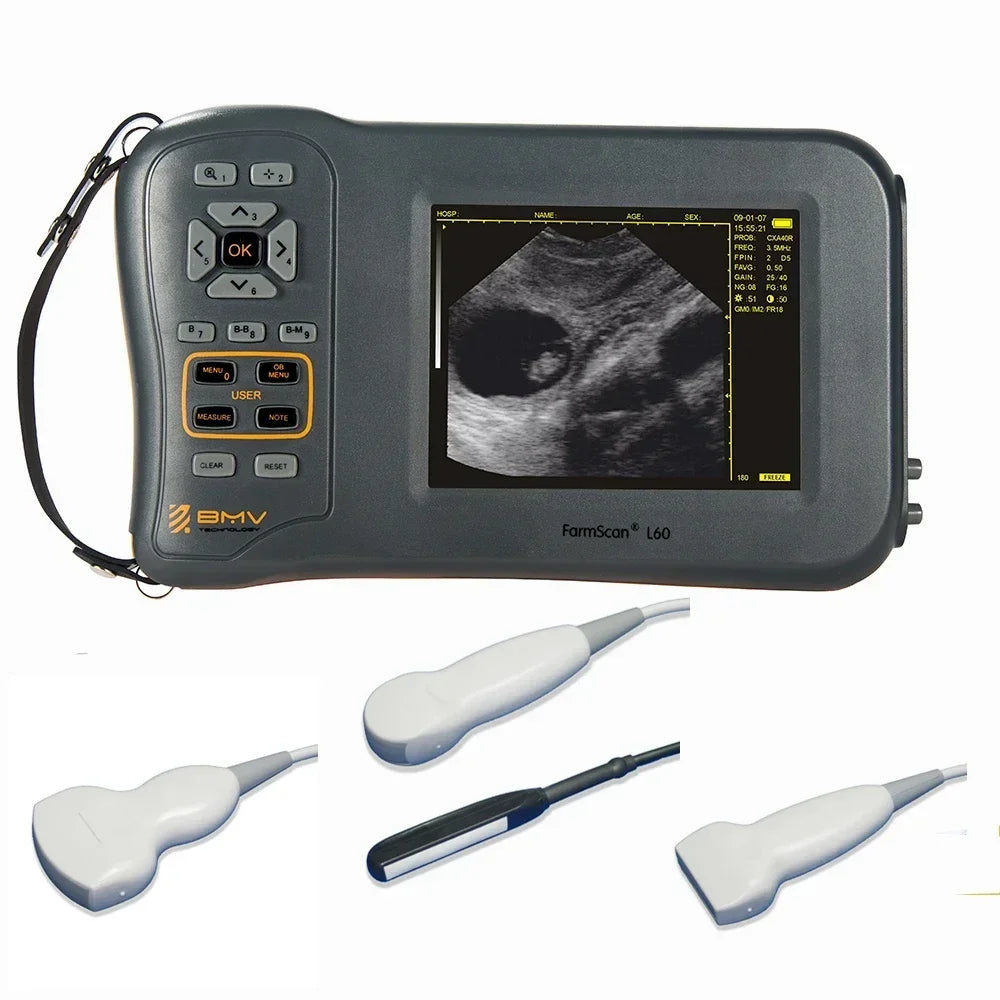 5.8 Inch Farm Portable Ultrasound Scanner Machine Sheep Pig Cow Equine  Veterinary Equipment Farmscan L60 USG Ecografo