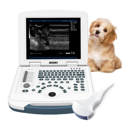 Veterinary Ultrasound Machine Portable Laptop Pregnancy Scanner Probes (B, BB, 4B, B+M, M) for Animal Hospital Home Farm