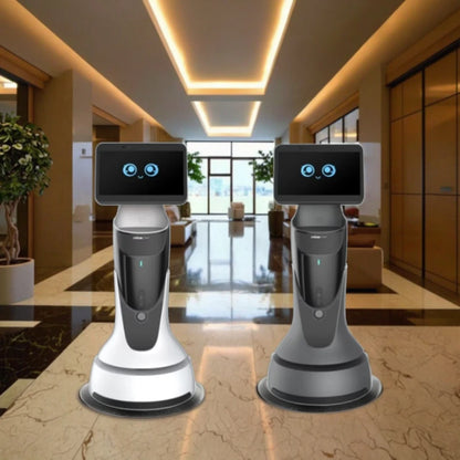 Intelligent AI Robot Intelligent Music Story Dance Science Programming Robot Humanoid Welcome Service Robot