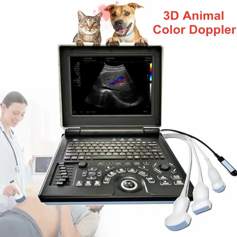 3D Color Doppler Small Big Animal Veterinary Pet Notebook Ultrasound Diagnostic Echo Machine