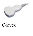 Veterinary Ultrasound Scanner | Portable High-Precision Animal Diagnostic Machine