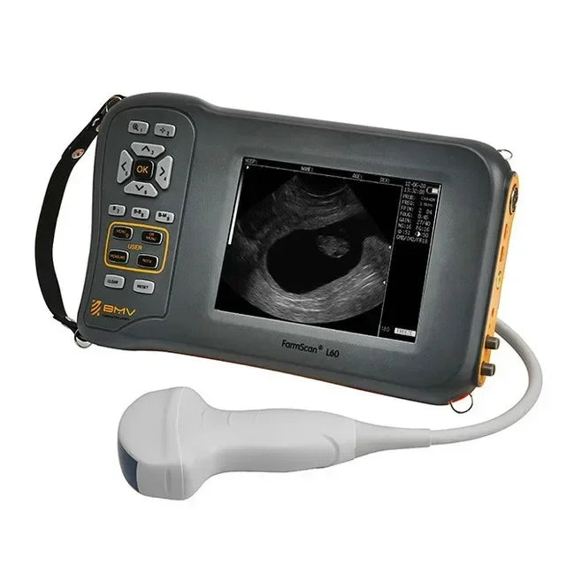 5.8 Inch Farm Portable Ultrasound Scanner Machine Sheep Pig Cow Equine  Veterinary Equipment Farmscan L60 USG Ecografo
