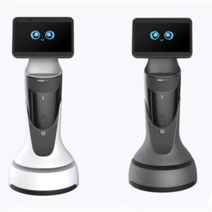 Intelligent AI Robot Intelligent Music Story Dance Science Programming Robot Humanoid Welcome Service Robot