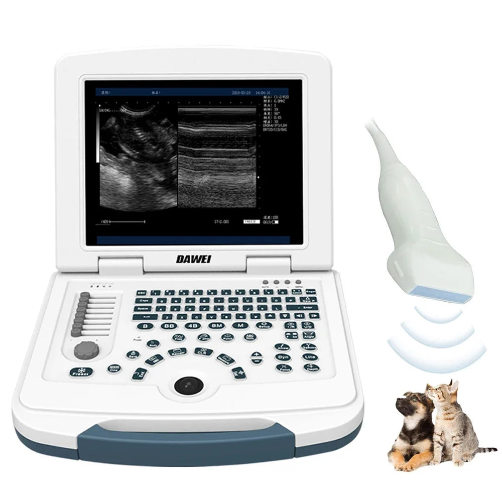 Veterinary Ultrasound Machine Portable Laptop Pregnancy Scanner Probes (B, BB, 4B, B+M, M) for Animal Hospital Home Farm